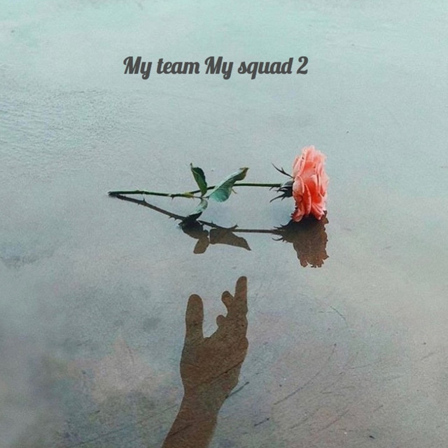 My team My squad 2 cover art