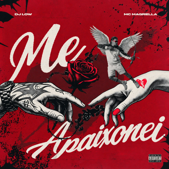 Me Apaixonei