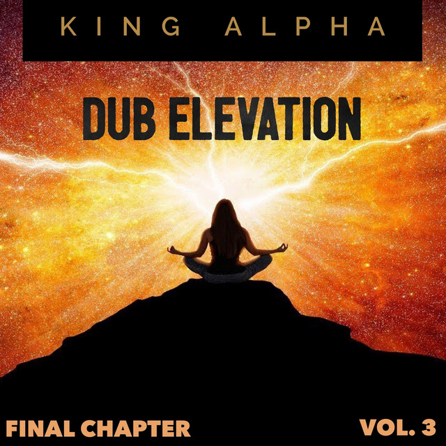 Dub Elevation Vol. 3 (Final Chapter) cover art