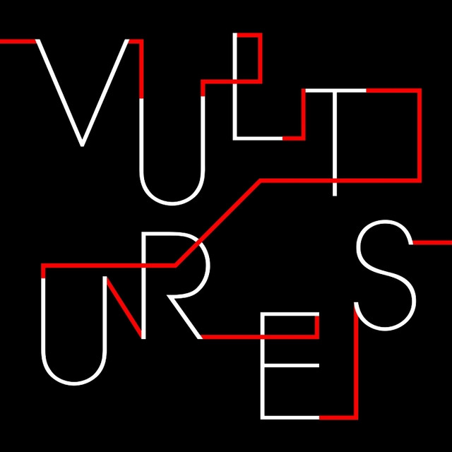 Vultures cover art