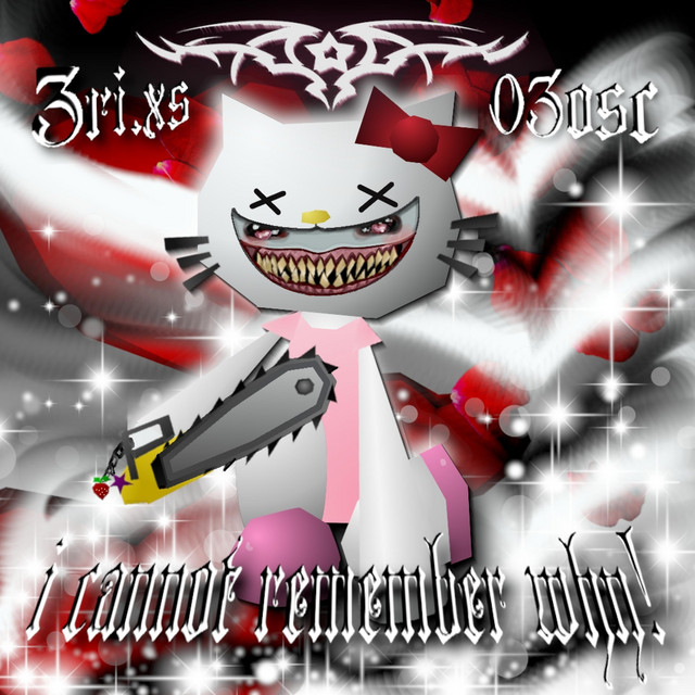 i cannot remember why! cover art