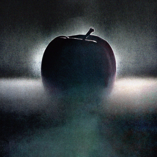 Shadow cover art