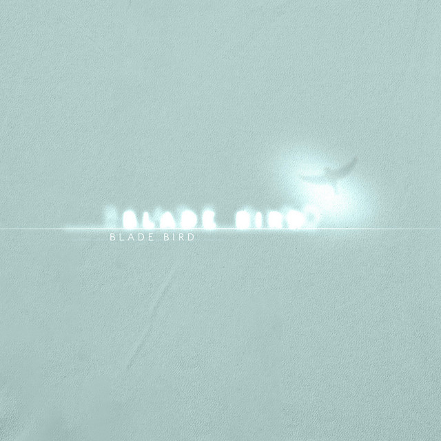 Capa de blade bird - Oklou
