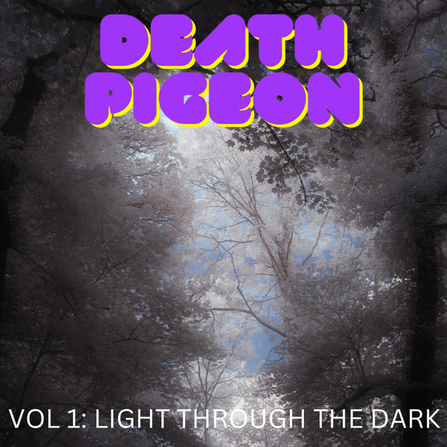 Vol 1: Light Through The Dark cover