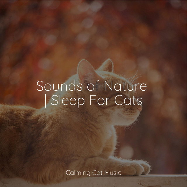 Sounds of Nature | Sleep For Cats - Album by Jazz Music Therapy for ...