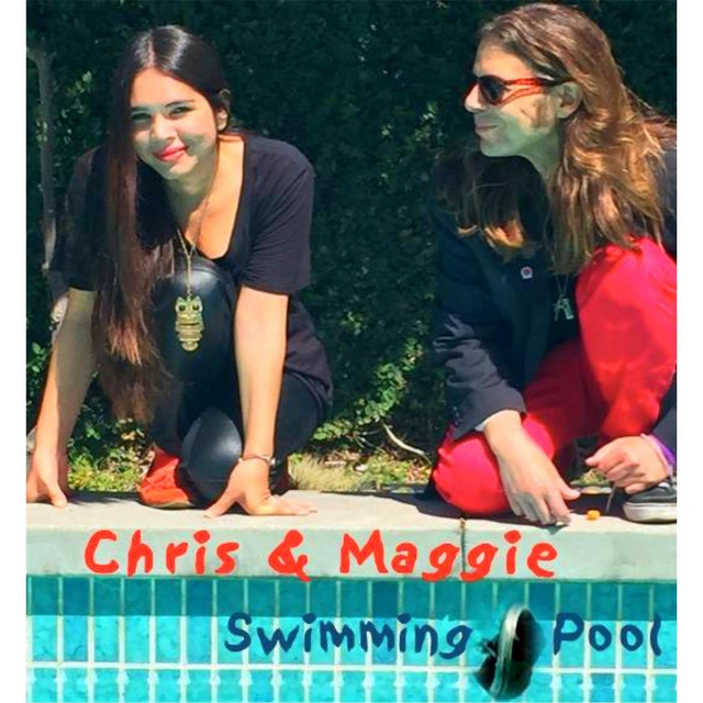Swimming Pool cover