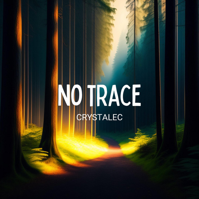 No Trace cover art