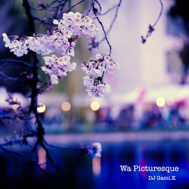 Wa Picturesque cover
