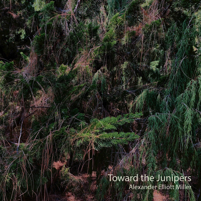 Toward the Junipers