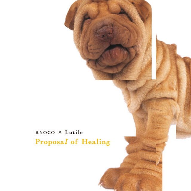 Proposal of Healing cover art