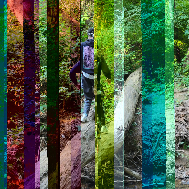 solace cover art
