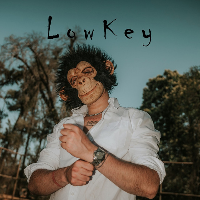 LowKey cover art