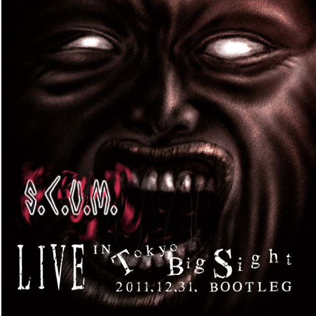 LIVE IN Tokyo Big Sight 2011.12.31 BOOTLEG 悶絶サミット コミケの夜