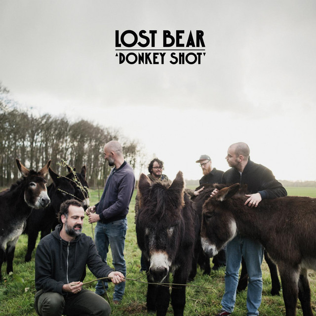 Donkey Shot cover