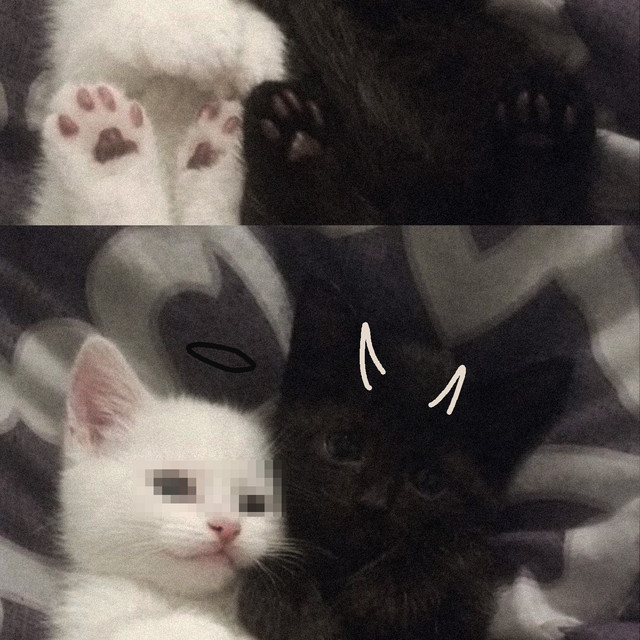 ihysm