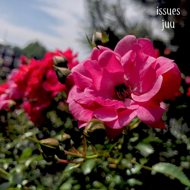 Issues cover art