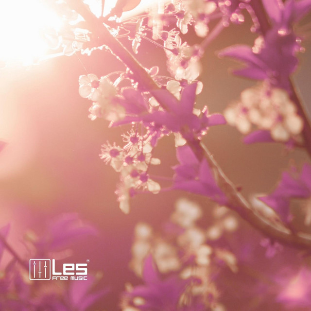 Обкладинка: The Ambient of Spring — Lesfm