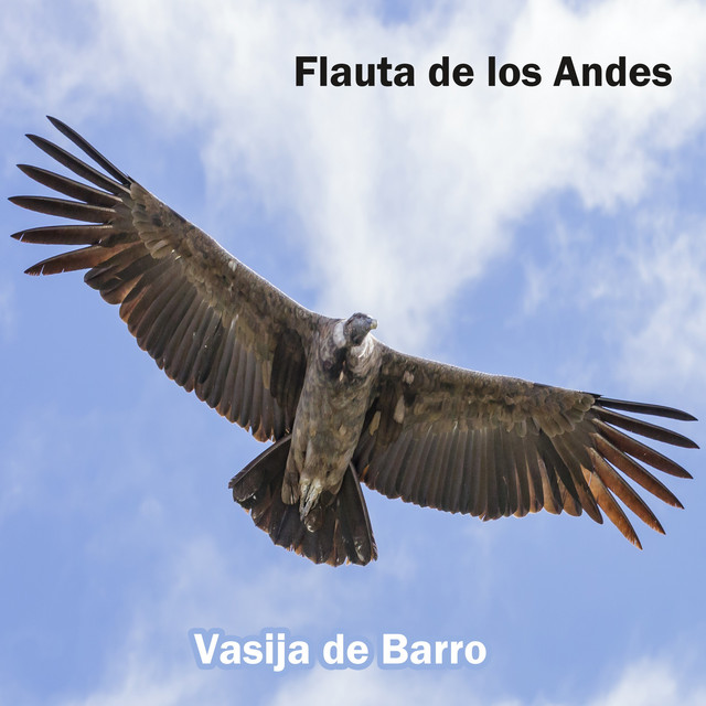 Flauta de los Andes