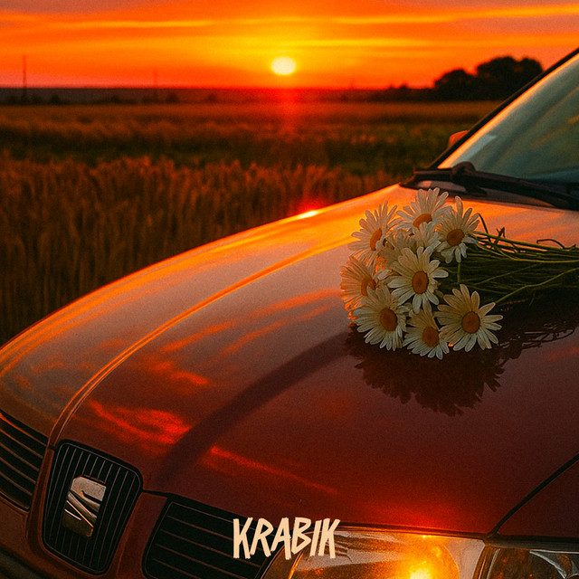 Обкладинка: Ромашки — KRABIK