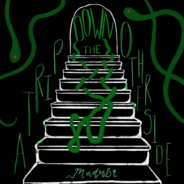 A Trip Down the Other Side cover art
