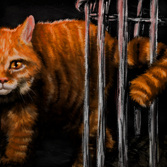 O GATO FUGIU DA GAIOLA cover art