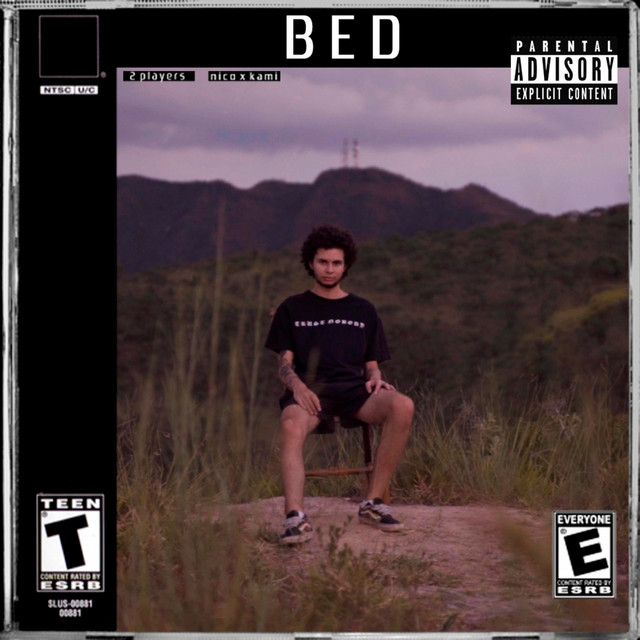Bed cover art