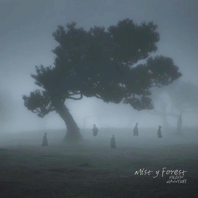 Misty Forest