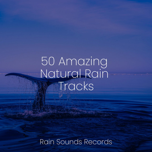 50 Amazing Natural Rain Tracks - Album by White Noise Therapy | Spotify