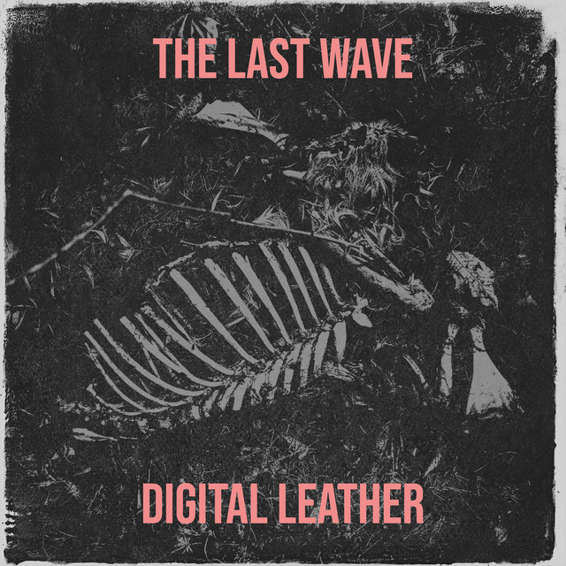 The Last Wave cover art