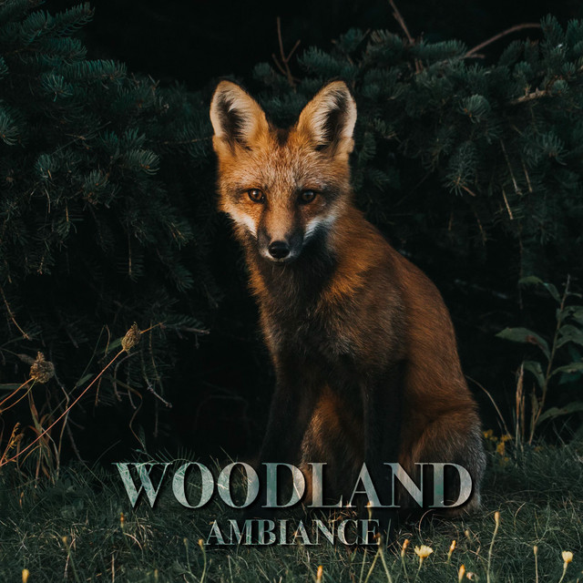 Woodland Ambiance cover art