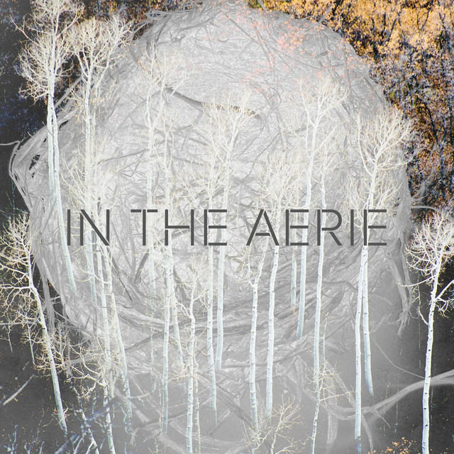 In the Aerie cover