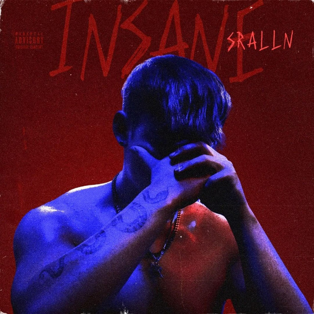 INSANE cover art