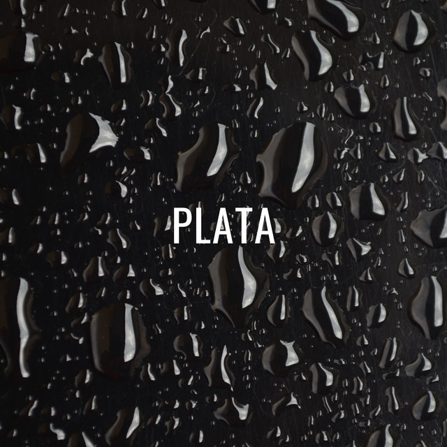 Plata cover art