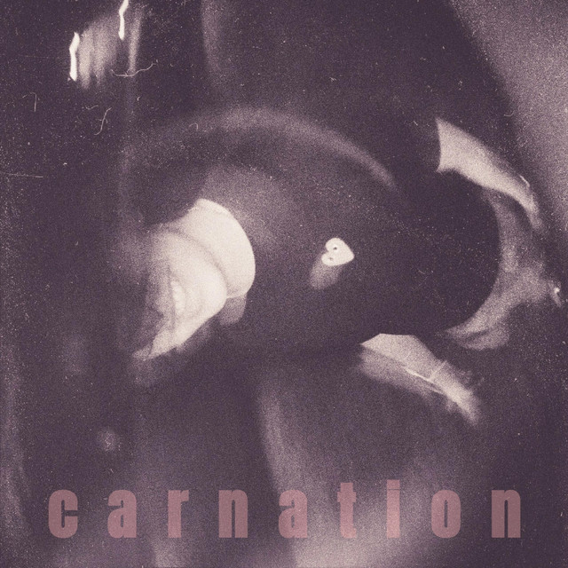 carnation cover art