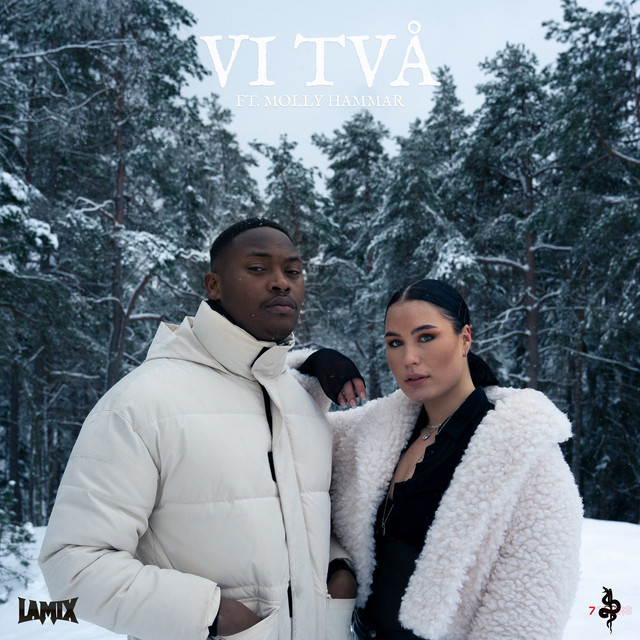 Vi Två (feat. Molly Hammar) cover