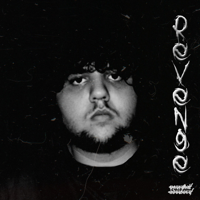Revenge cover art