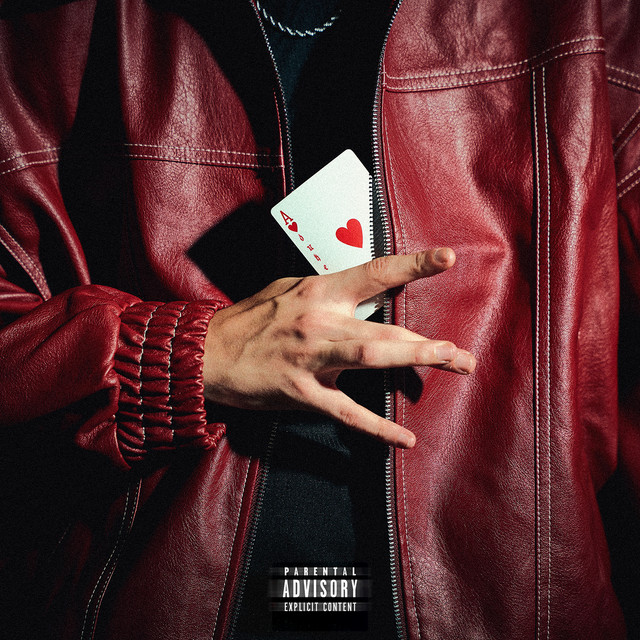 FULLY cover art