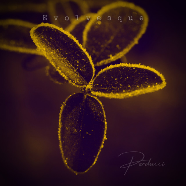 Evolvesque cover art