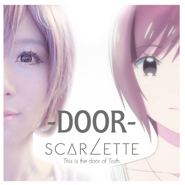 DOOR cover