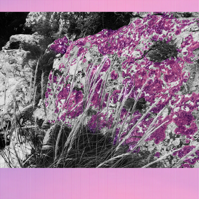 ZNAK cover art
