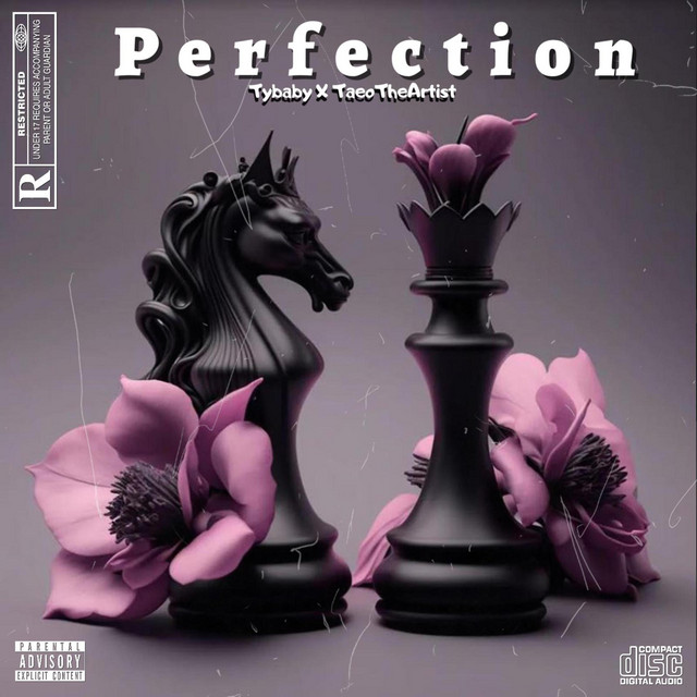 Perfection ft Taeotheartist