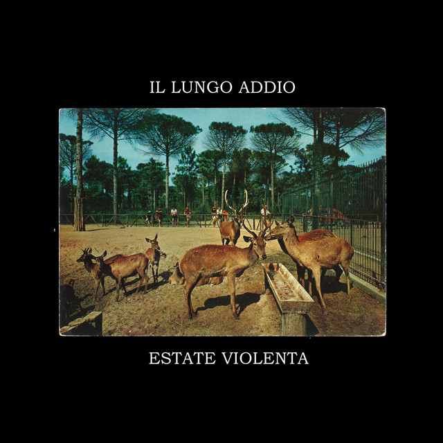 Estate Violenta cover