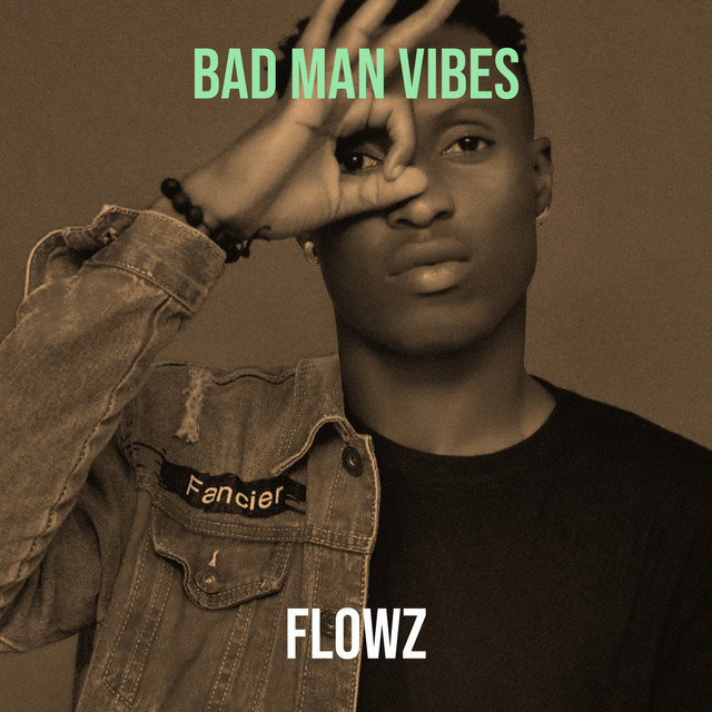 Bad Man Vibes - Single by flowz | Spotify