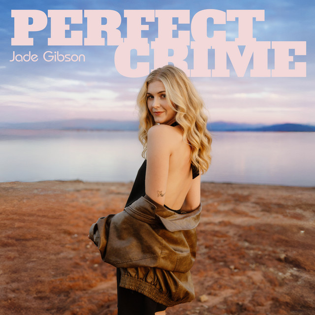 Perfect Crime cover