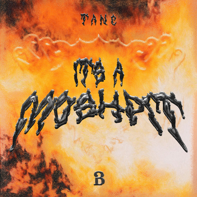 ITS A MOSHPIT - Extended Mix album art