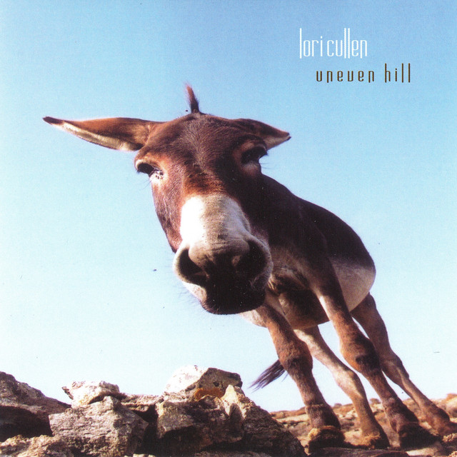 Uneven Hill cover art