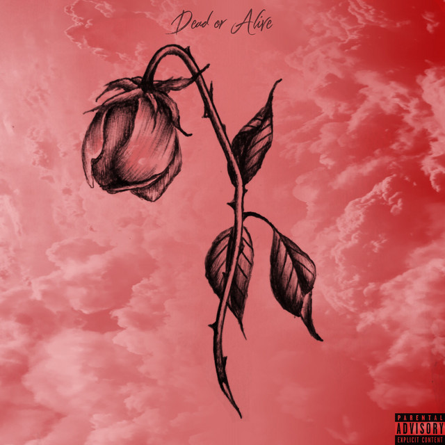 Dead or Alive cover art