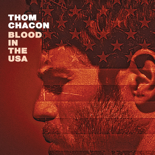 Blood in the USA cover art