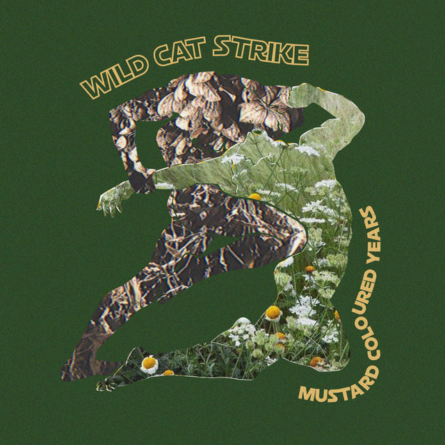 Mustard Coloured Years cover