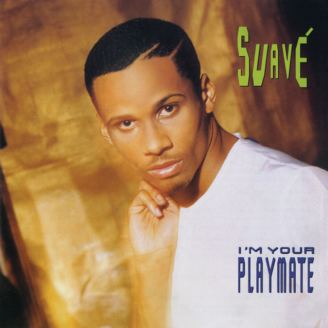 I'm Your Playmate cover art